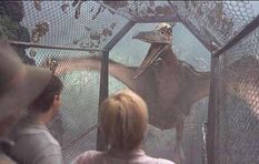 Aviary