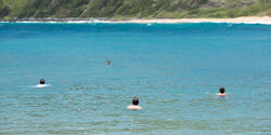 Swimming-in-the-ocean.jpg