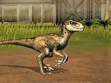 Velociraptor/JW: TG