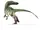 Archaeornithoides