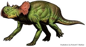 Avaceratops.jpg