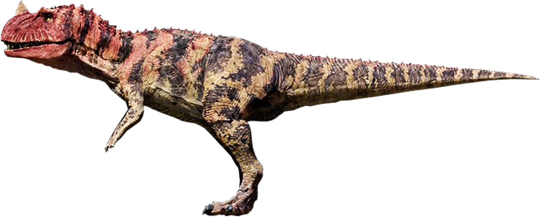 Ceratosaurus was a carnivorous theropod dinosaur in the Late