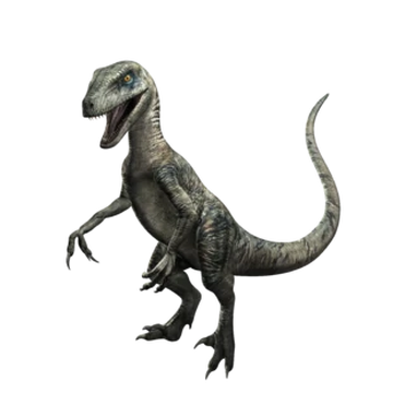 Velociraptor - Wikipedia