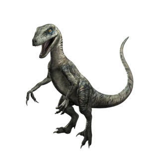 Raptor Alpha, Jurassic Park Wiki