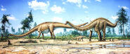 Diplodocus family