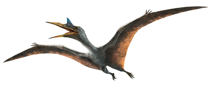 Quetzalcoatlus Jurassic Park Wiki Fandom 