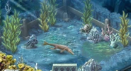 Level 9 Metriorhynchus