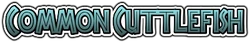 Commoncuttlefishname