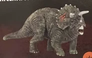 Triceratops
