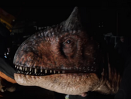 Carnotaurus JWFK