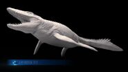 Mosasaurus Maximus (103)