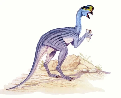 Oviraptor-dinosaur-deagostiniuig