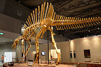 Spinosaurus in Japan