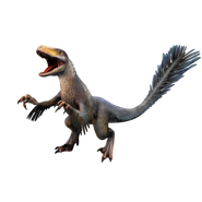 Utahraptor2