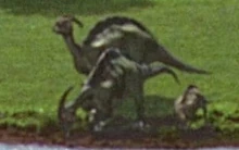 パラサウ m1