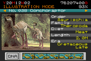 038 - conchoraptor