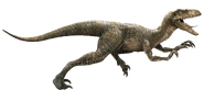 Velociraptor-detail-header