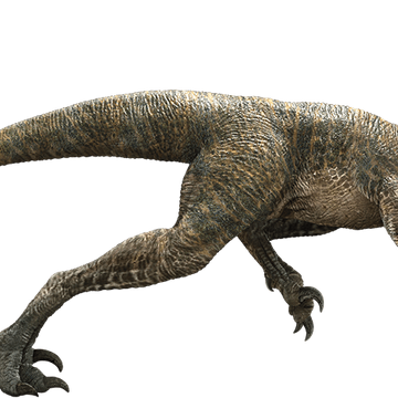 Velociraptor Movie Canon Jurassic Park Wiki Fandom Velociraptor Movie Canon Jurassic Park Wiki Fandom