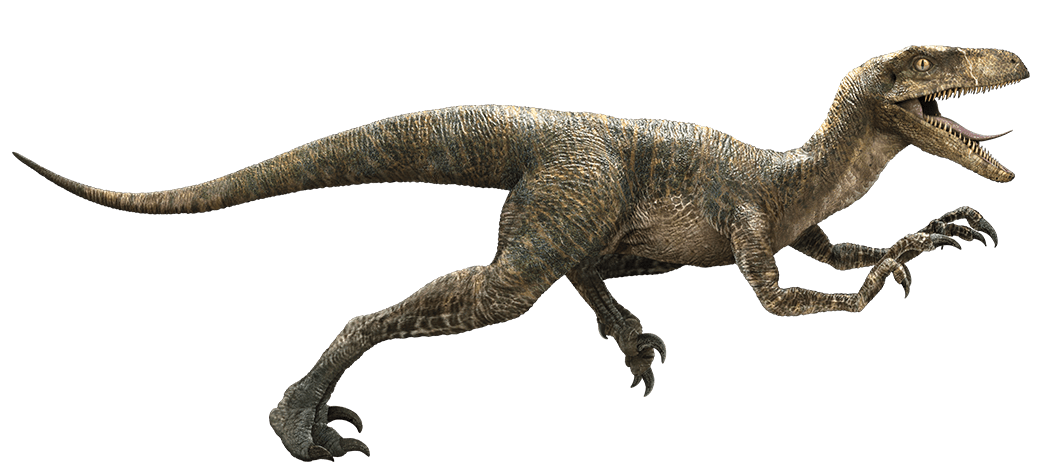 Echo/JW: A, Jurassic Park Wiki
