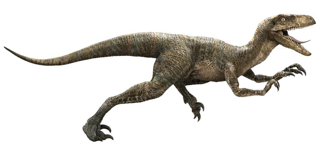 Echo, Jurassic Park Wiki