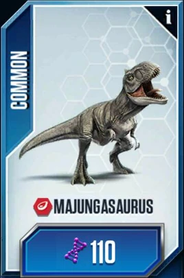 11535868 988664447833010 2759144515070817367 n