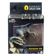 Velociraptor "Blue"