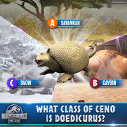 Doedicurus Quiz