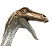 Jurassic World-Gallimimus-head-close-up