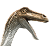 Closeup of Jurassic World Gallimimus head