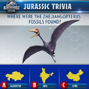 Zhejiangopterus Trivia