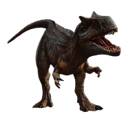 Allosaur