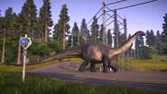 Apatosaurus JWE2.jpg (572 КБ)