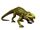 Prestosuchus