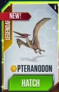 Pteranodonjwtg.jpg (16 kB)