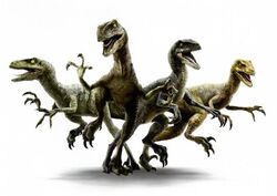 Jurassic World Velociraptor Charlie, Delta, Echo & Blue Action