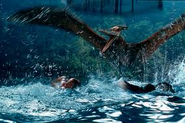 A Pteranodon splashing in the water of the aviary.