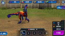 MEGARAPTOR1 19448 games •