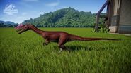 Proceratosaurus Steppe