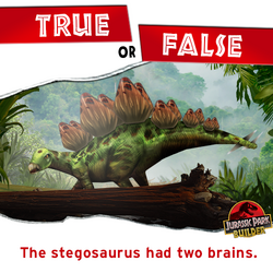 Stegosaurus/Games | Jurassic Park Wiki | Fandom