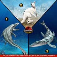 Bq1VgwDCMAAESSS.png (538 KB)