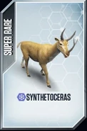 Synthetoceras Card.jpg (23 kB)