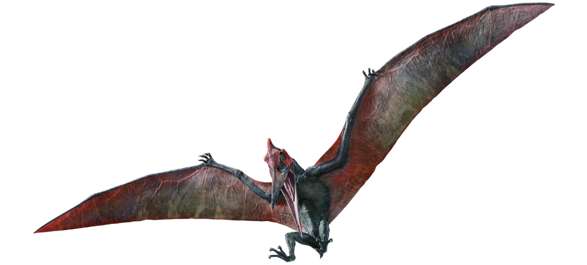 Free: Pterodactyl, Dinosaur, Tyrannosaurus Rex, Cartoon, Wing PNG 