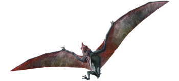 Pteranodon render