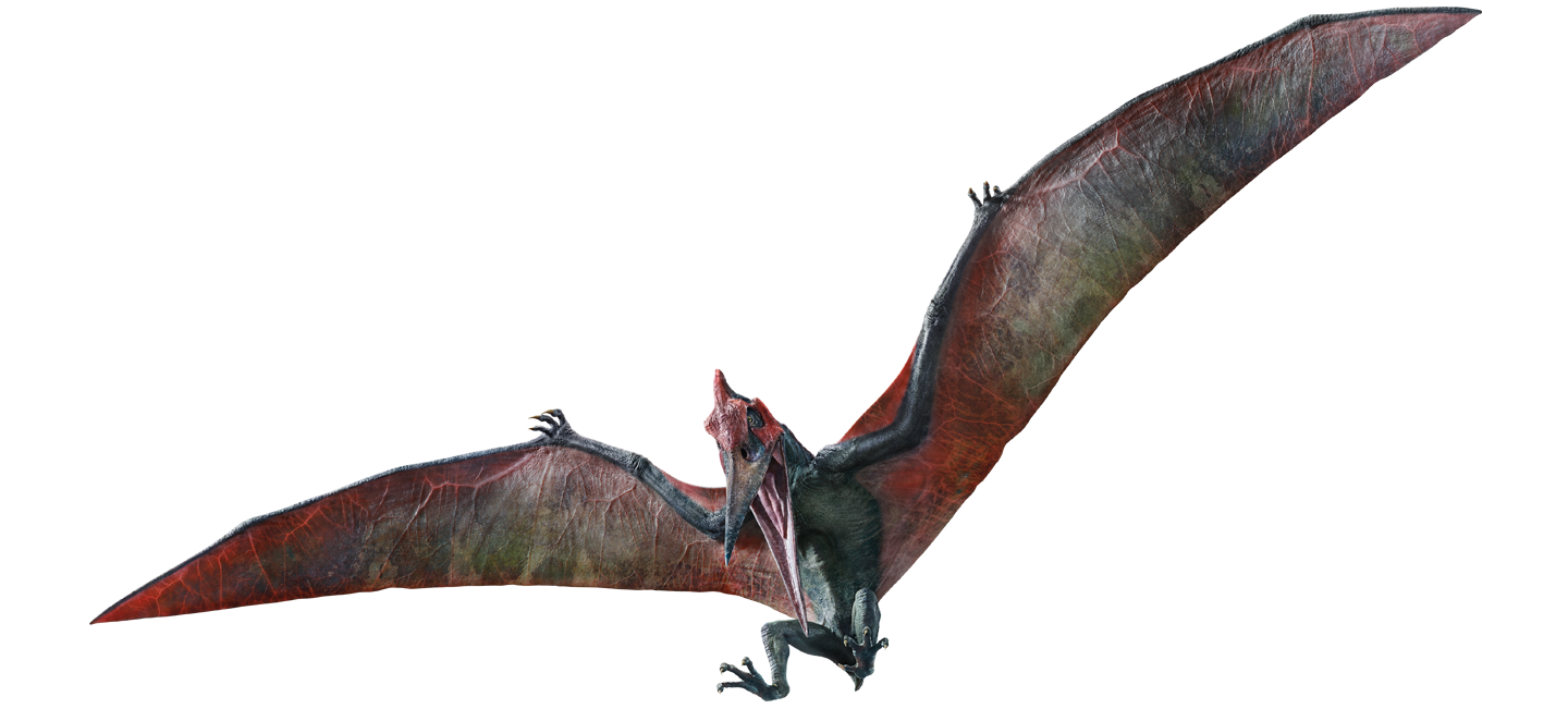 What's Wrong With the Flying Pterosaurs in Jurassic World