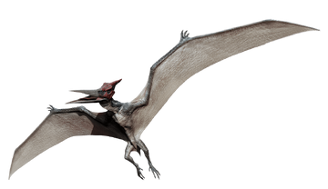 Pteranodonte e pterodáctilo são só nomes diferentes para o mesmo