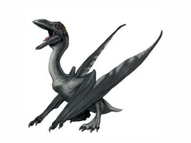 プテロダクティ