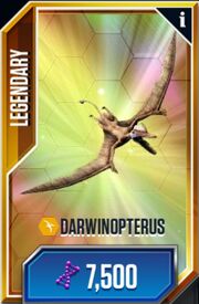 Darwinopterus 1.jpg