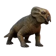 JWA PressKit Lystrosaurus.webp (115 KB)