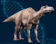 Maiasaura