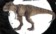 Tyrannosaurus rex